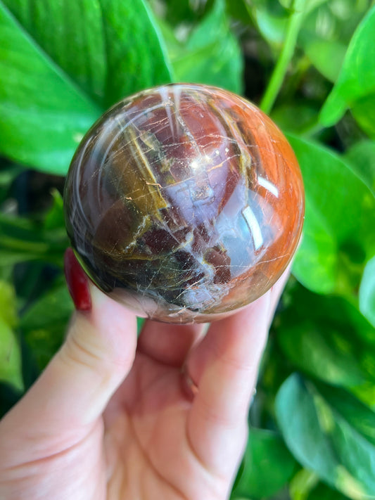 Petrified Wood Sphere - P