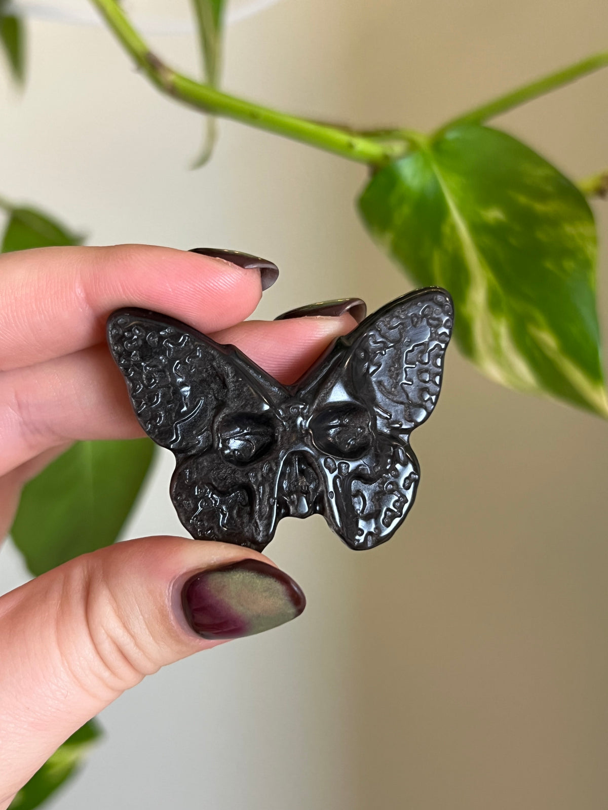 Silver Sheen Obsidian Death Moth