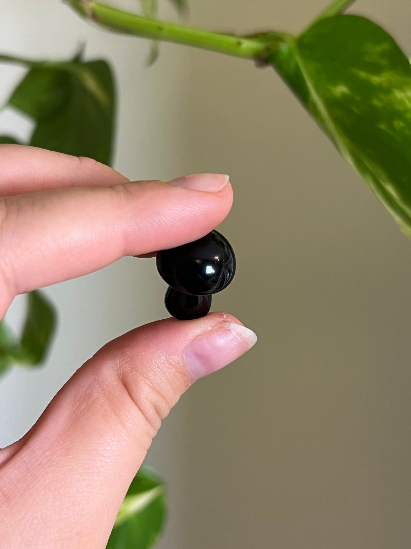 Black Obsidian Mini Mushie