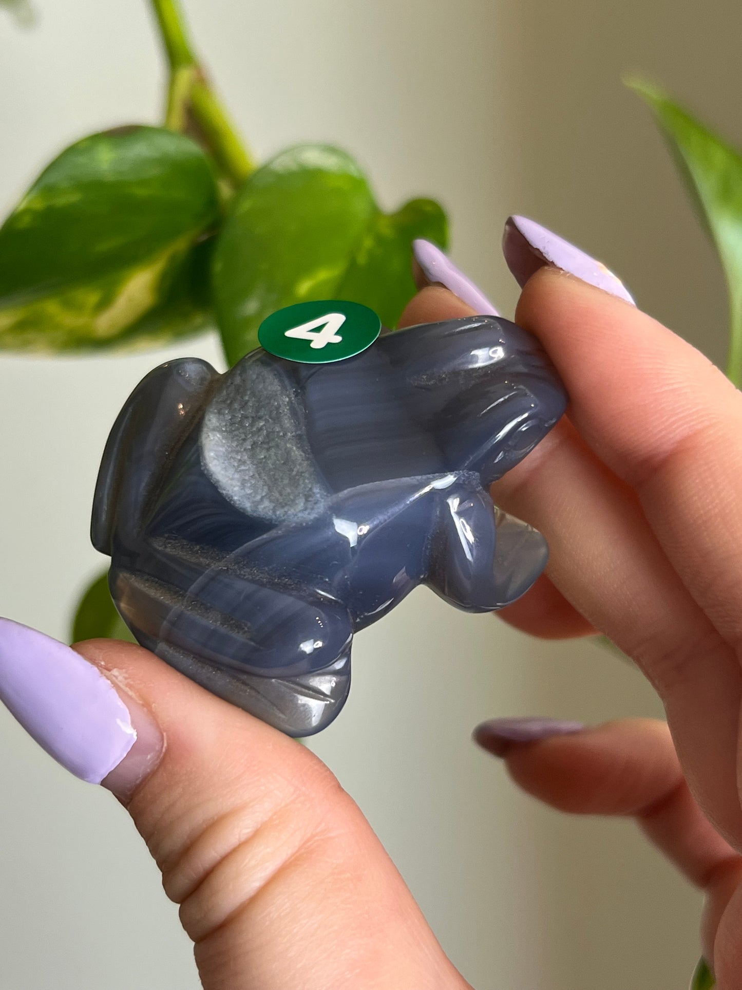 Druzy Agate Frog - 4