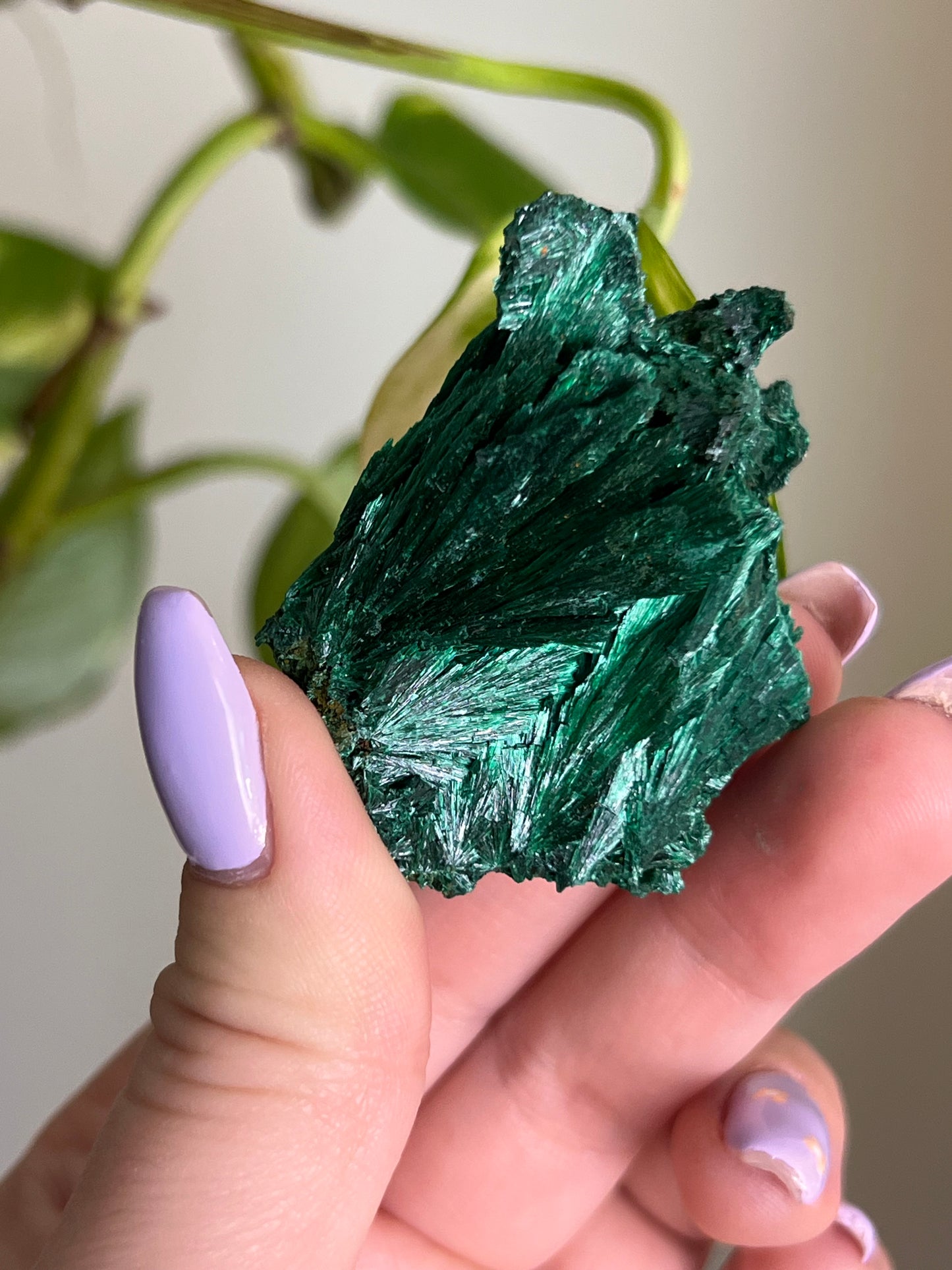 Fibrous Malachite - R