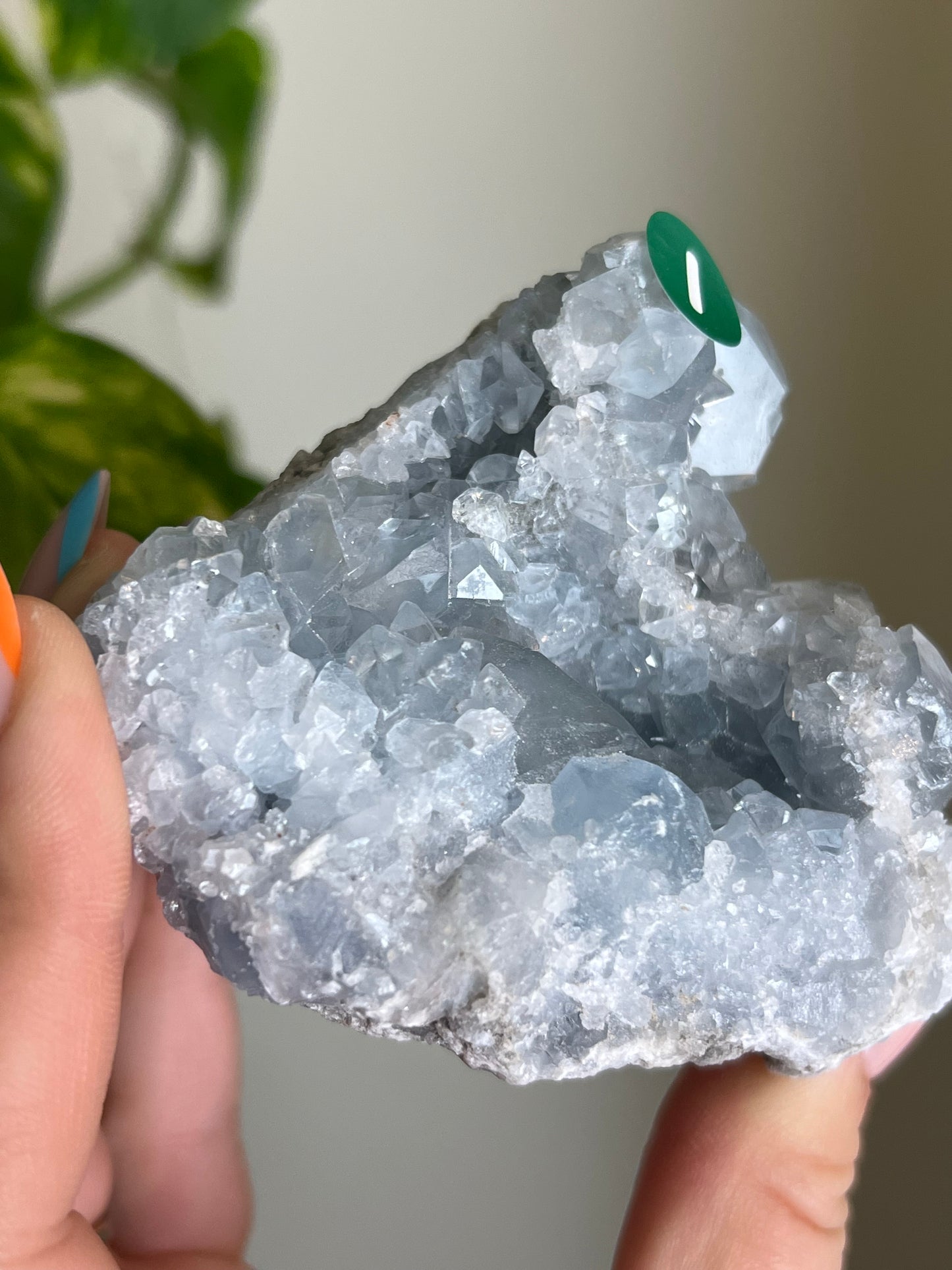 Celestite Cluster - I 🌊