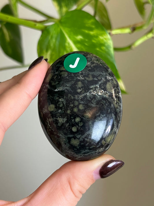 Kambaba Jasper Palm Stone - J