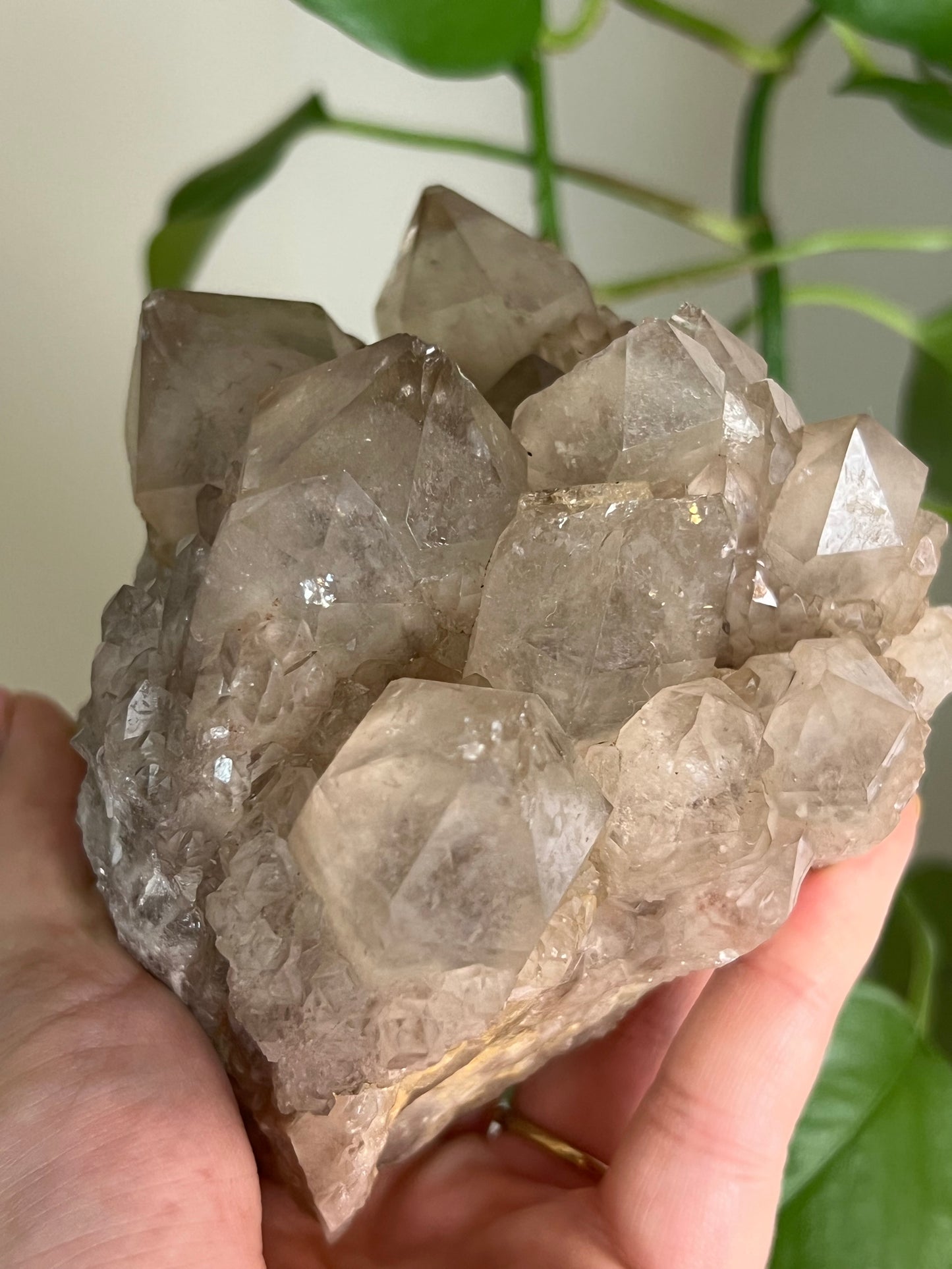 Smoky Phantom Quartz Cluster