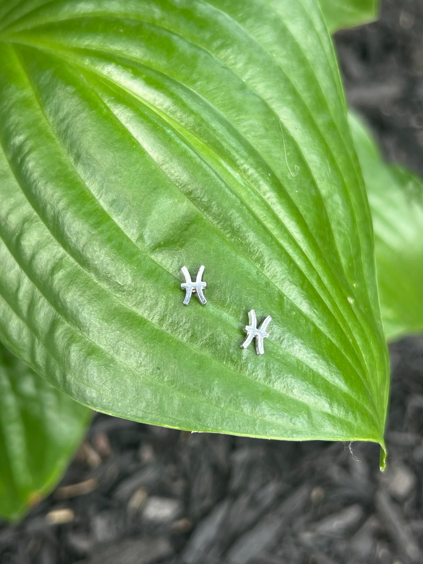 Pisces Silver Zodiac Sign Studs ♓️