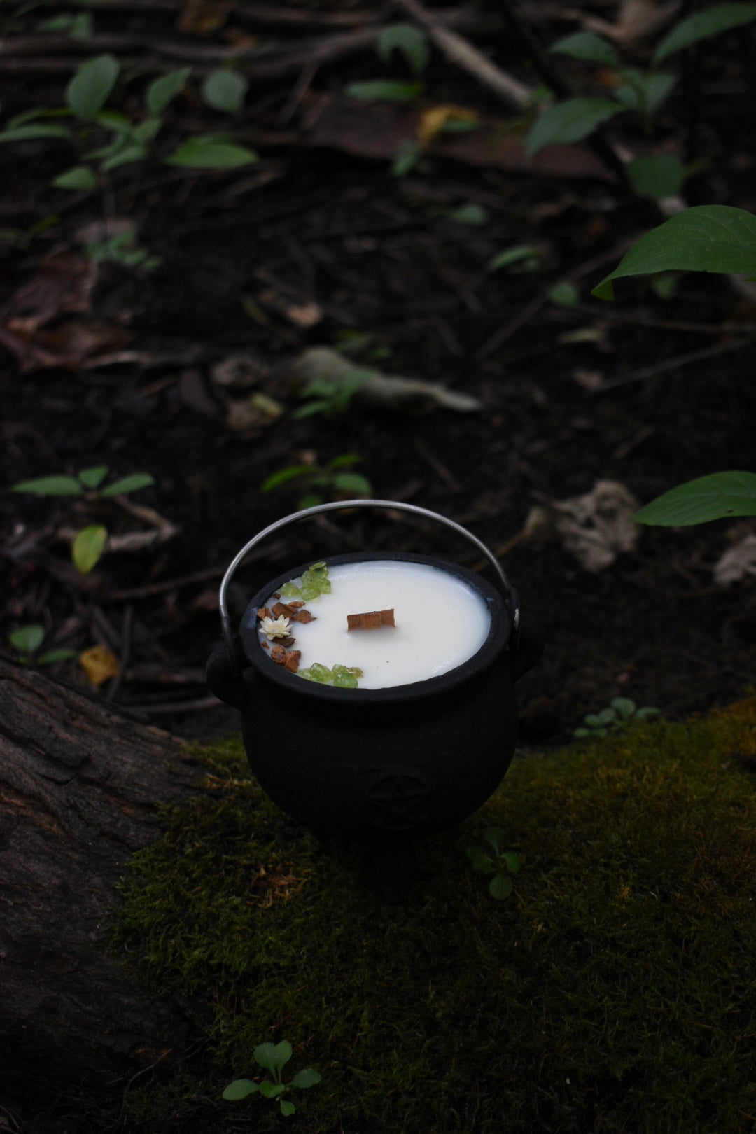 Mabon Magic Cauldron Candle | Spiced Apple Cider 🍏