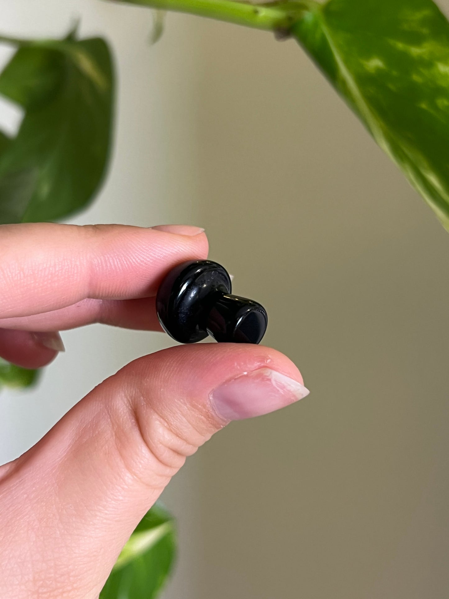 Black Obsidian Mini Mushie
