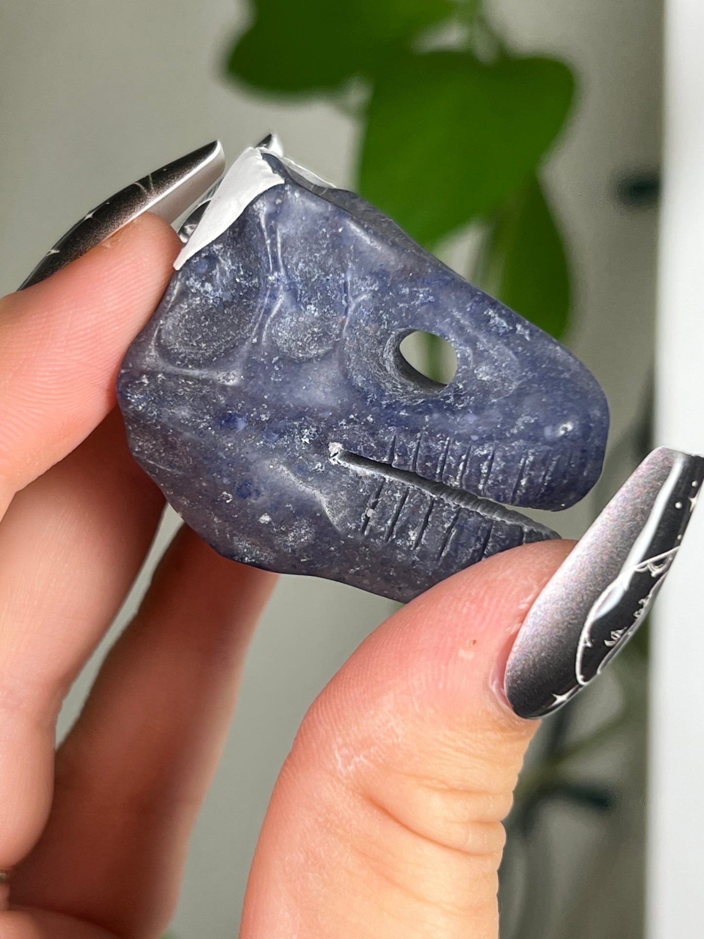 Blue Aventurine Dinosaur Skull Head