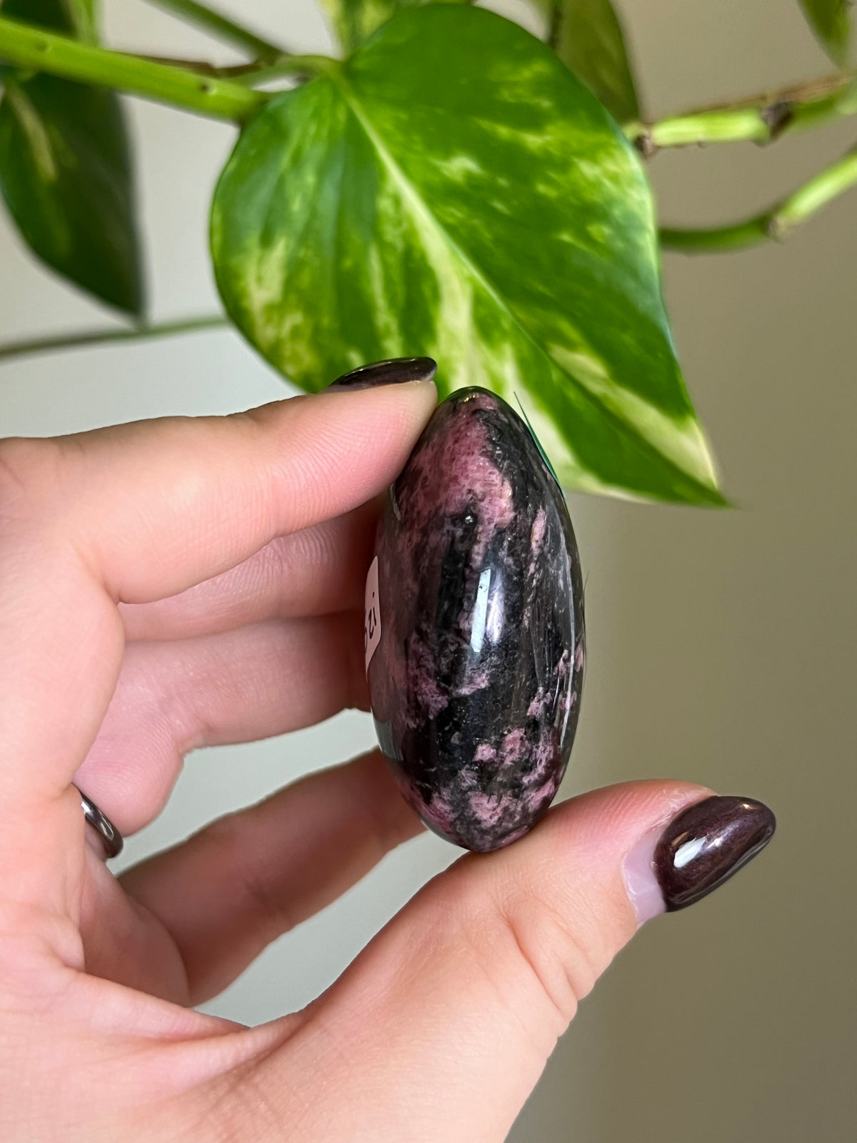 Madagascar Rhodonite Palm Stone - L