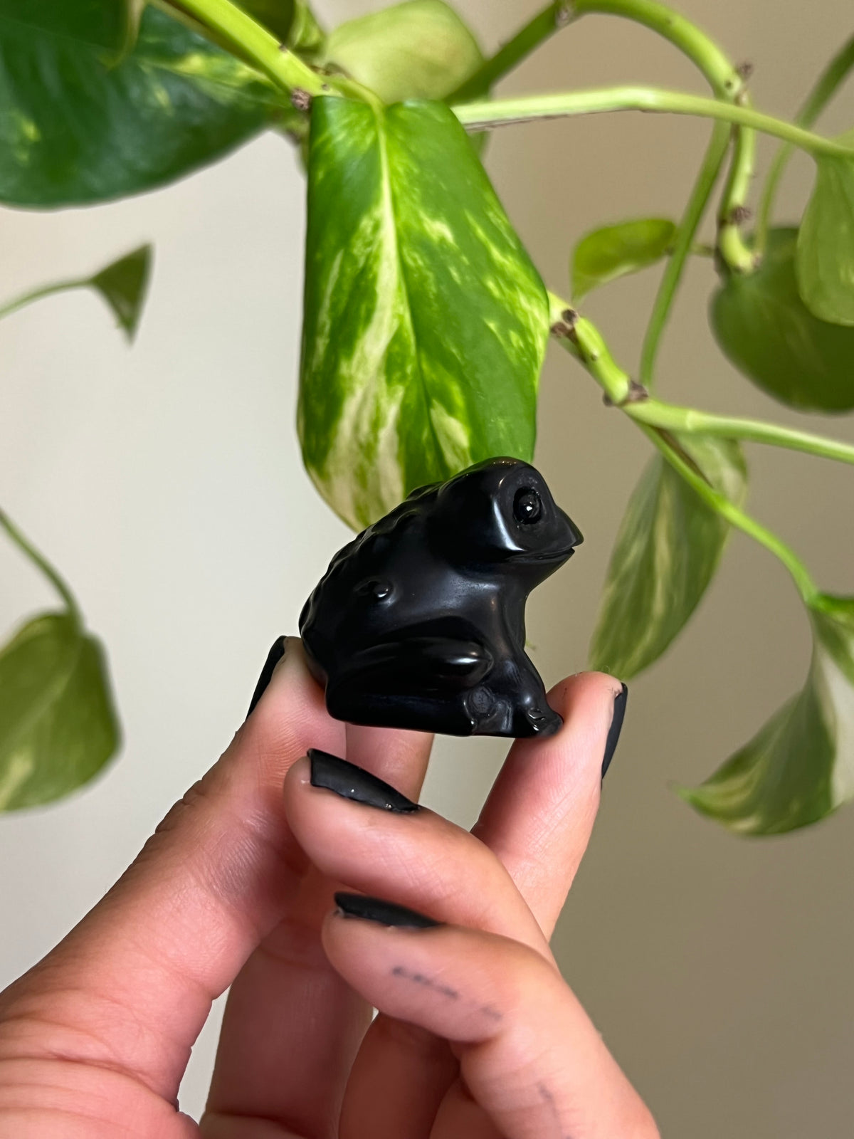 Black Obsidian Frog