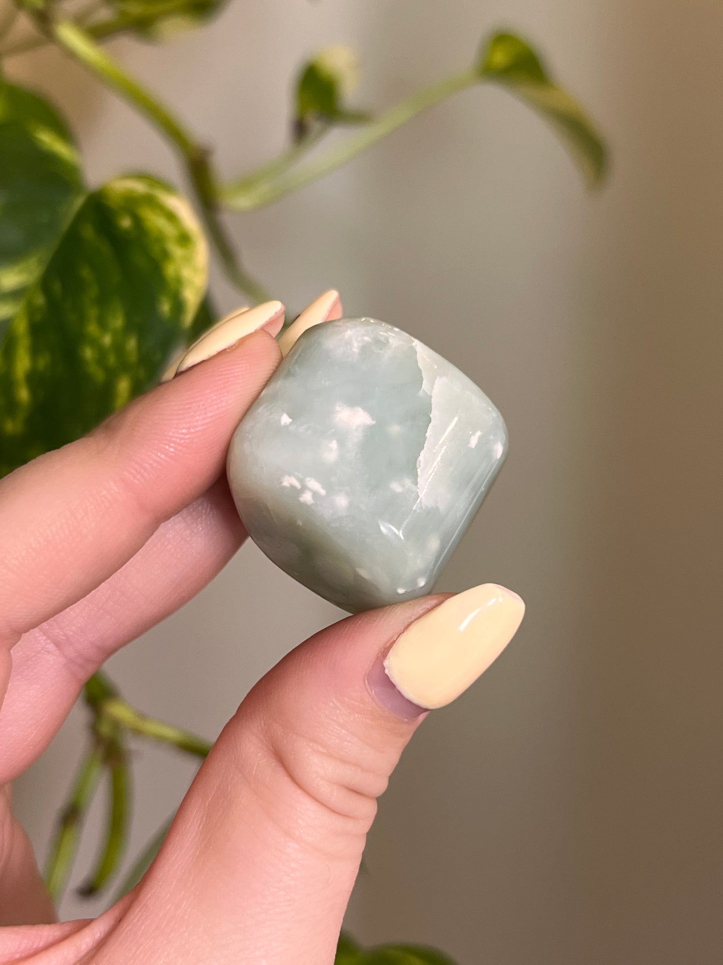 Grape Serpentine Tumbled