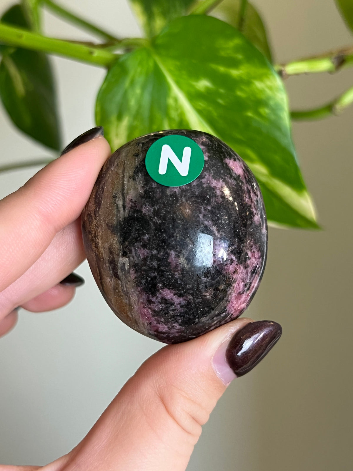 Madagascar Rhodonite Palm Stone - N