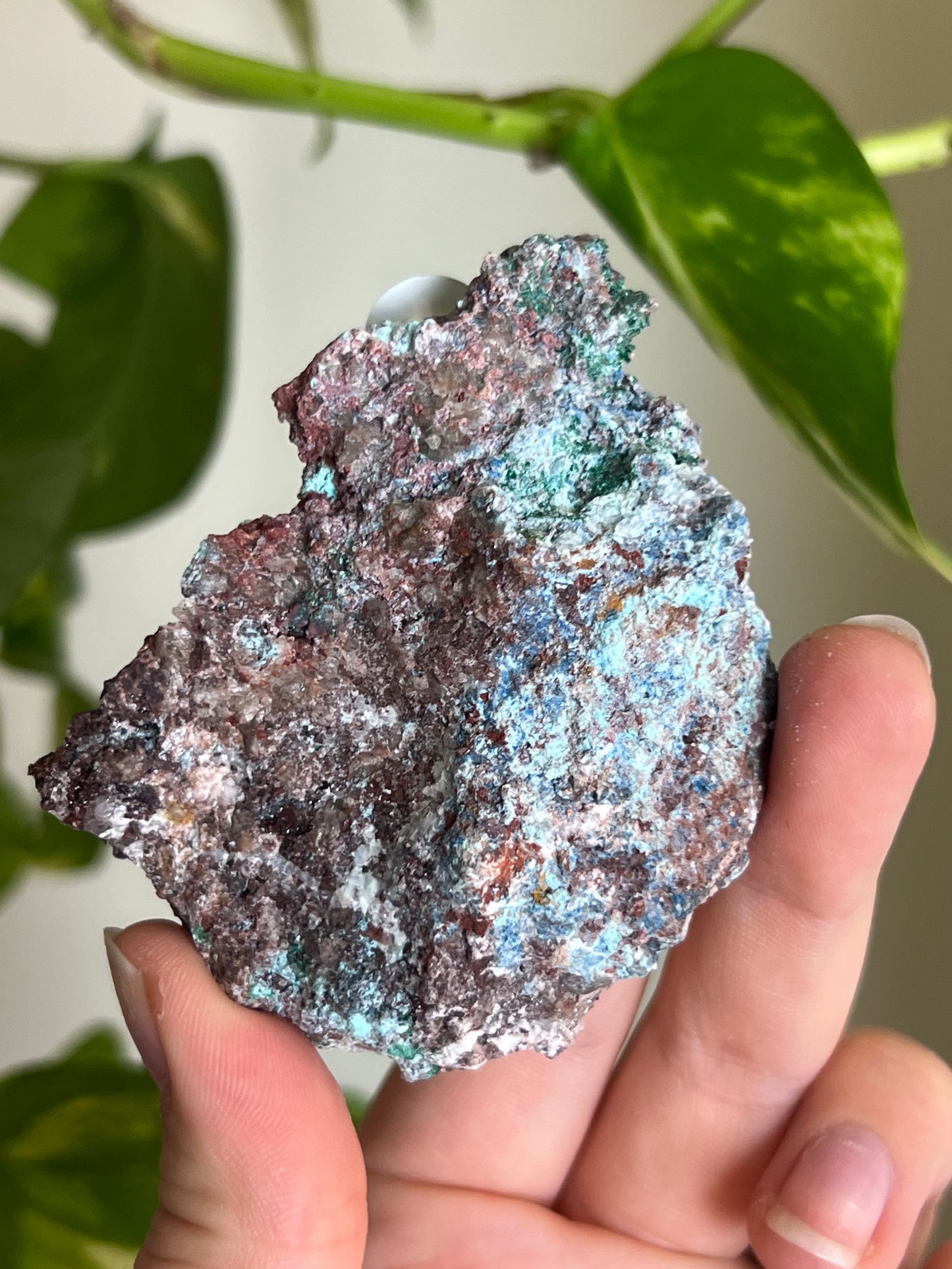 Druzy Malachite with Chrysocolla + Dolomite Sparkly Cluster - X