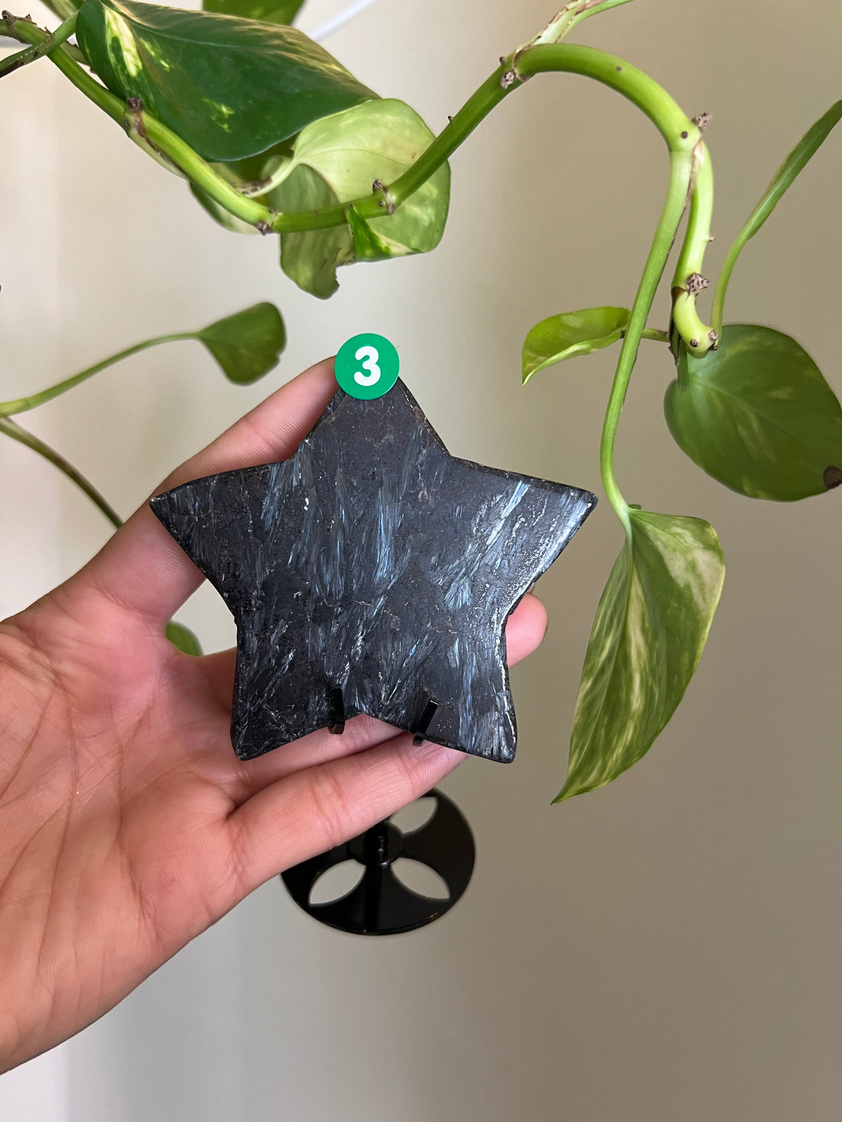 Flashy Astrophyllite Star on Stand - 3