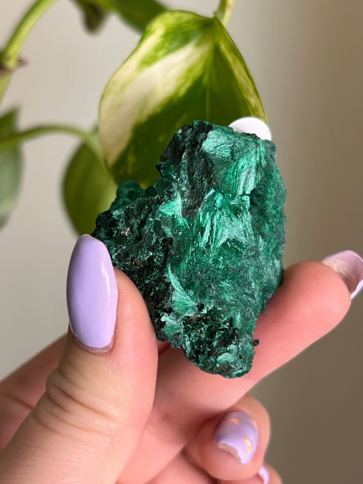 Fibrous Malachite - G