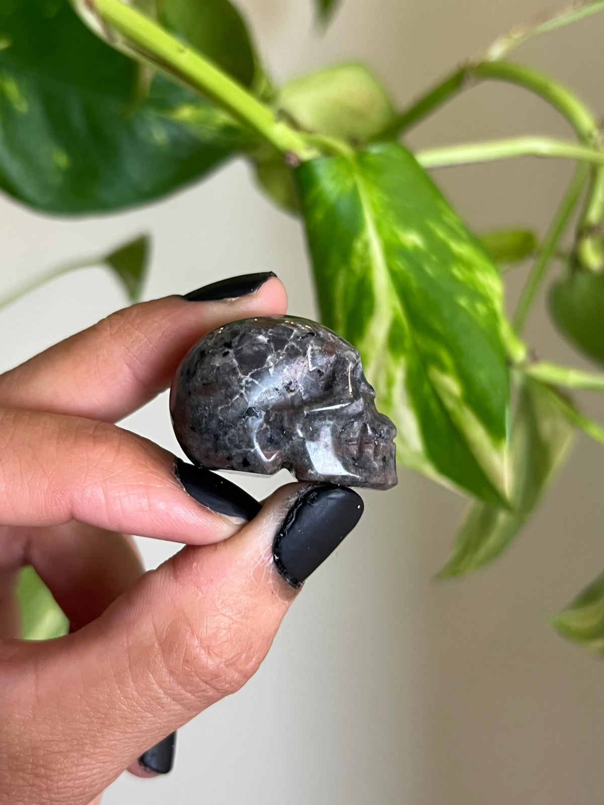 UV Reactive Yooperlite Skull