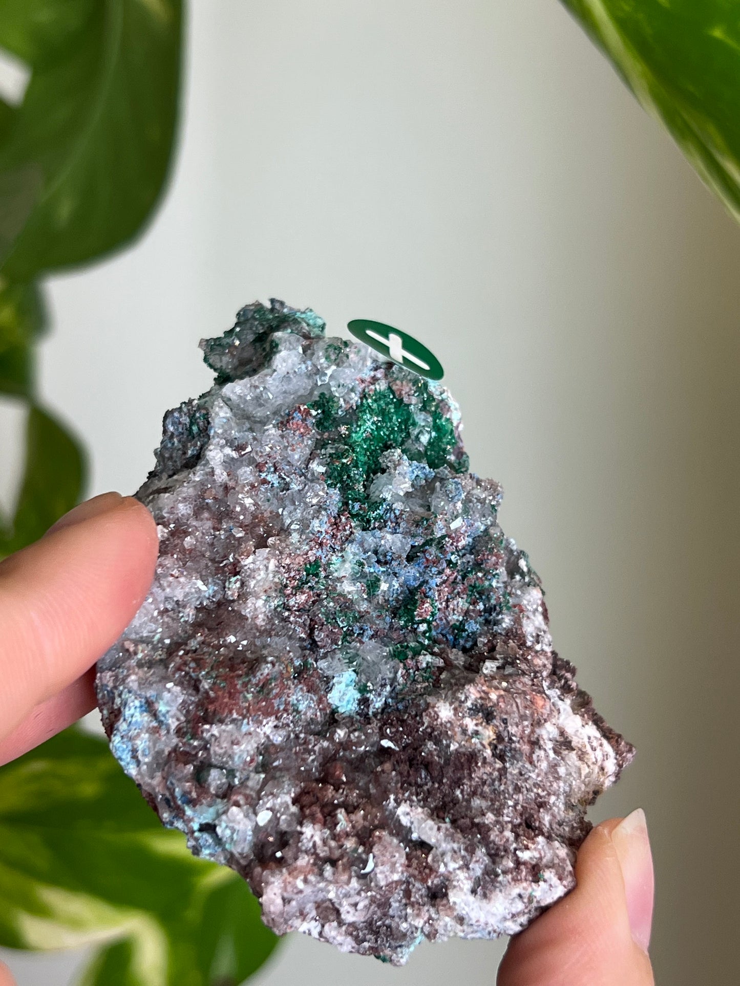 Druzy Malachite with Chrysocolla + Dolomite Sparkly Cluster - X