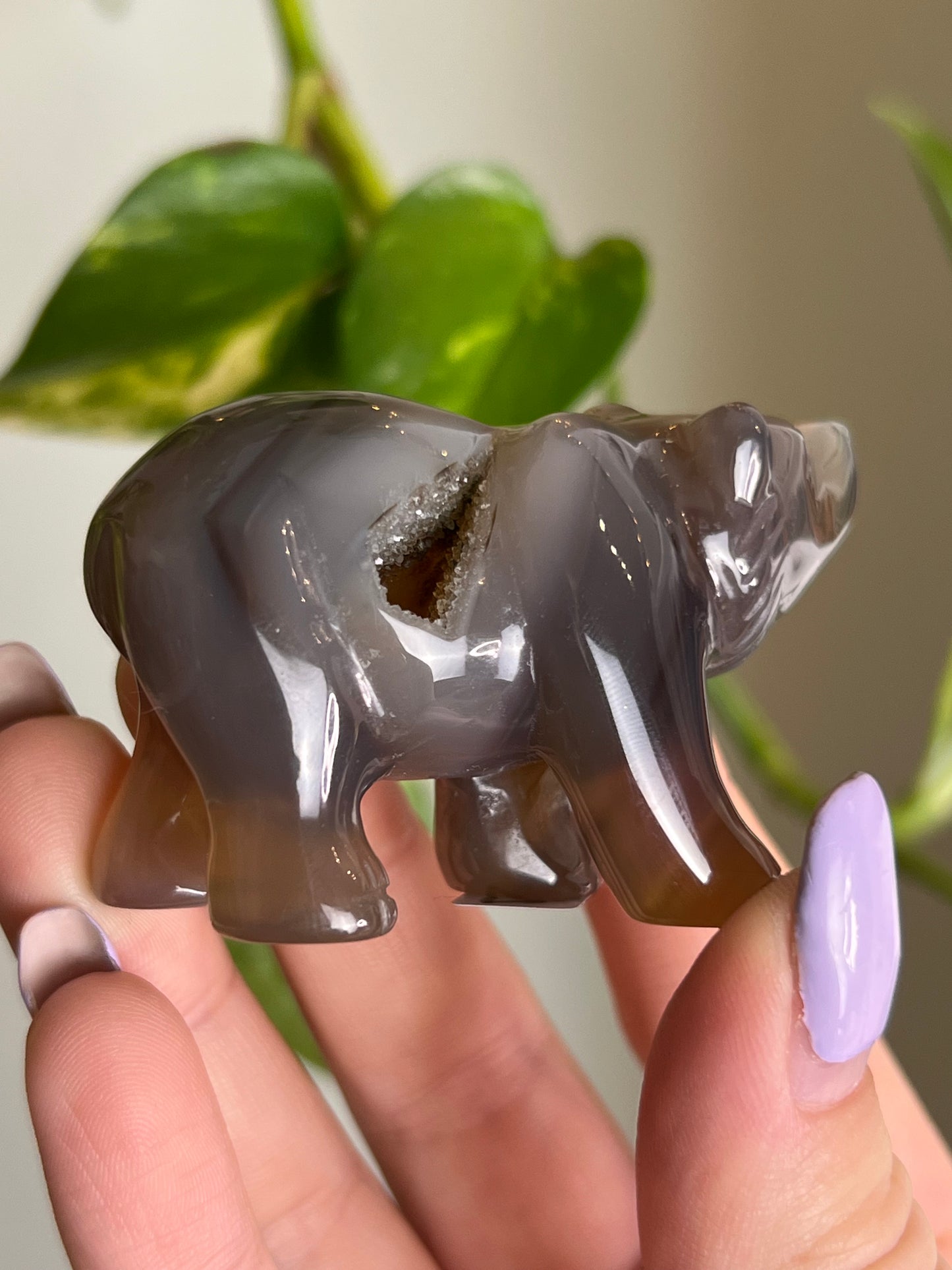 Druzy Agate Bear - A