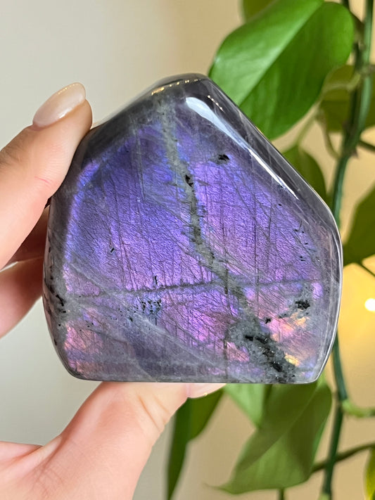 Purple Labradorite Freeform A