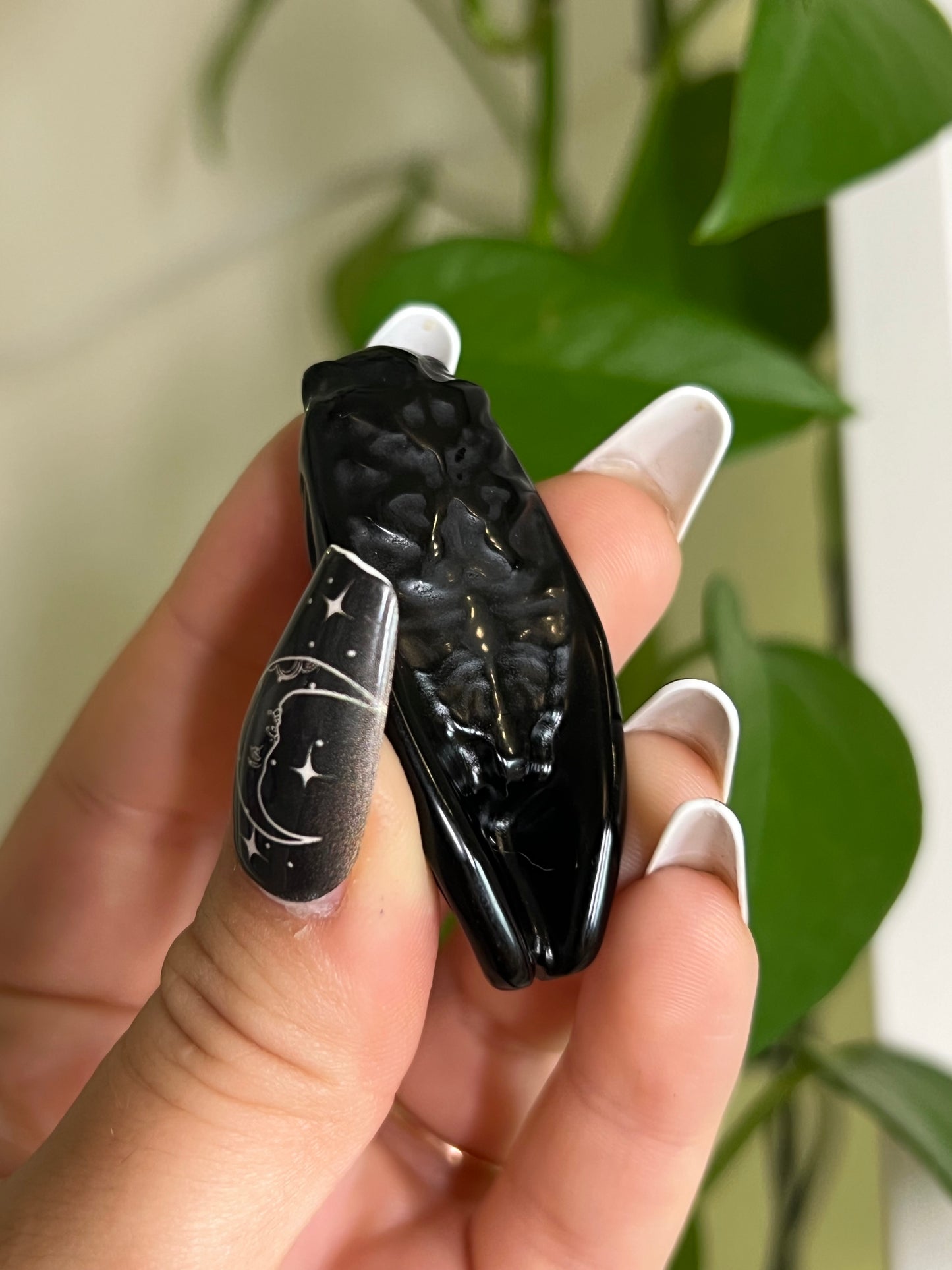 Black Obsidian Cicada