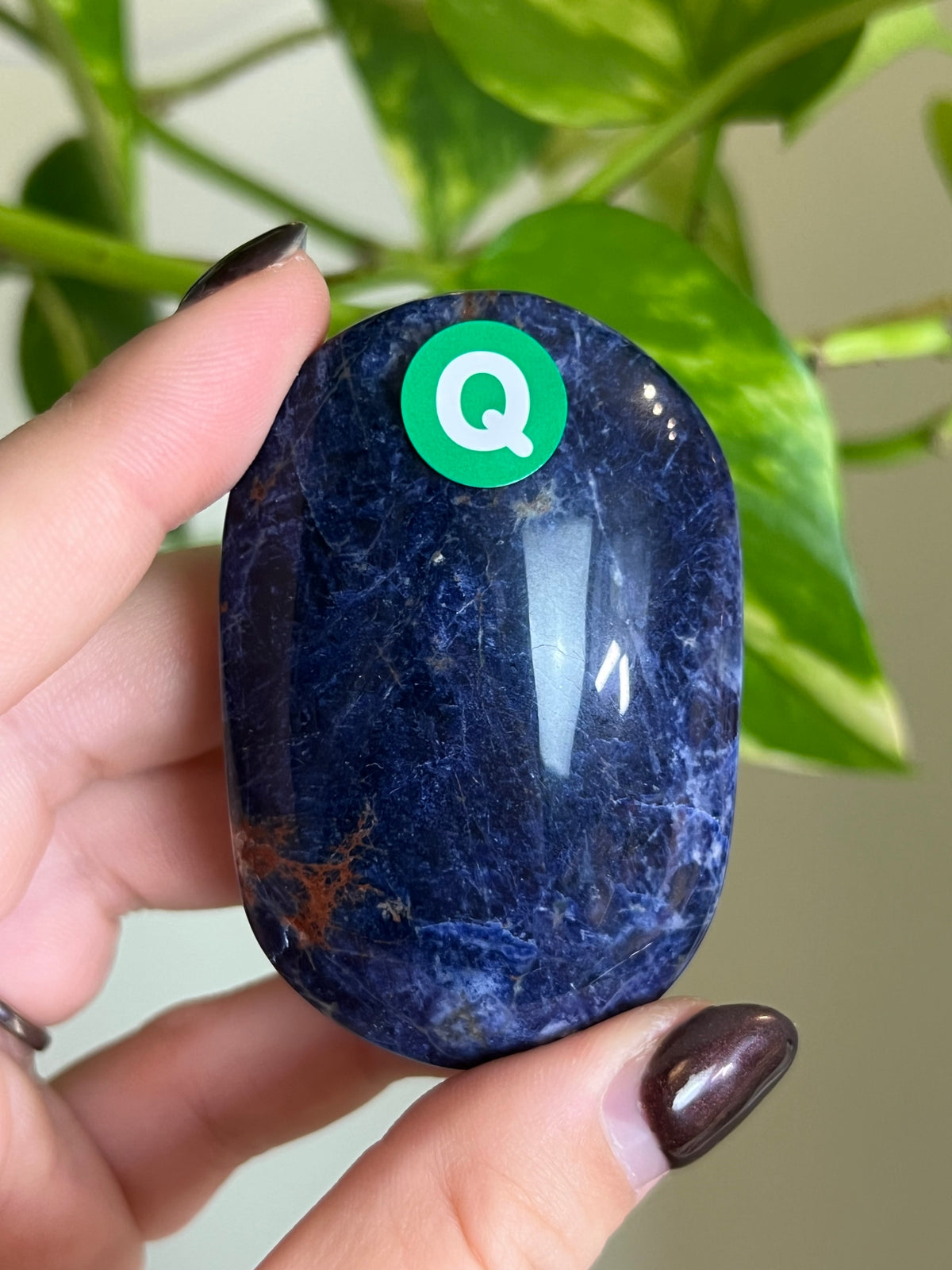 Sodalite Palm Stone - Q