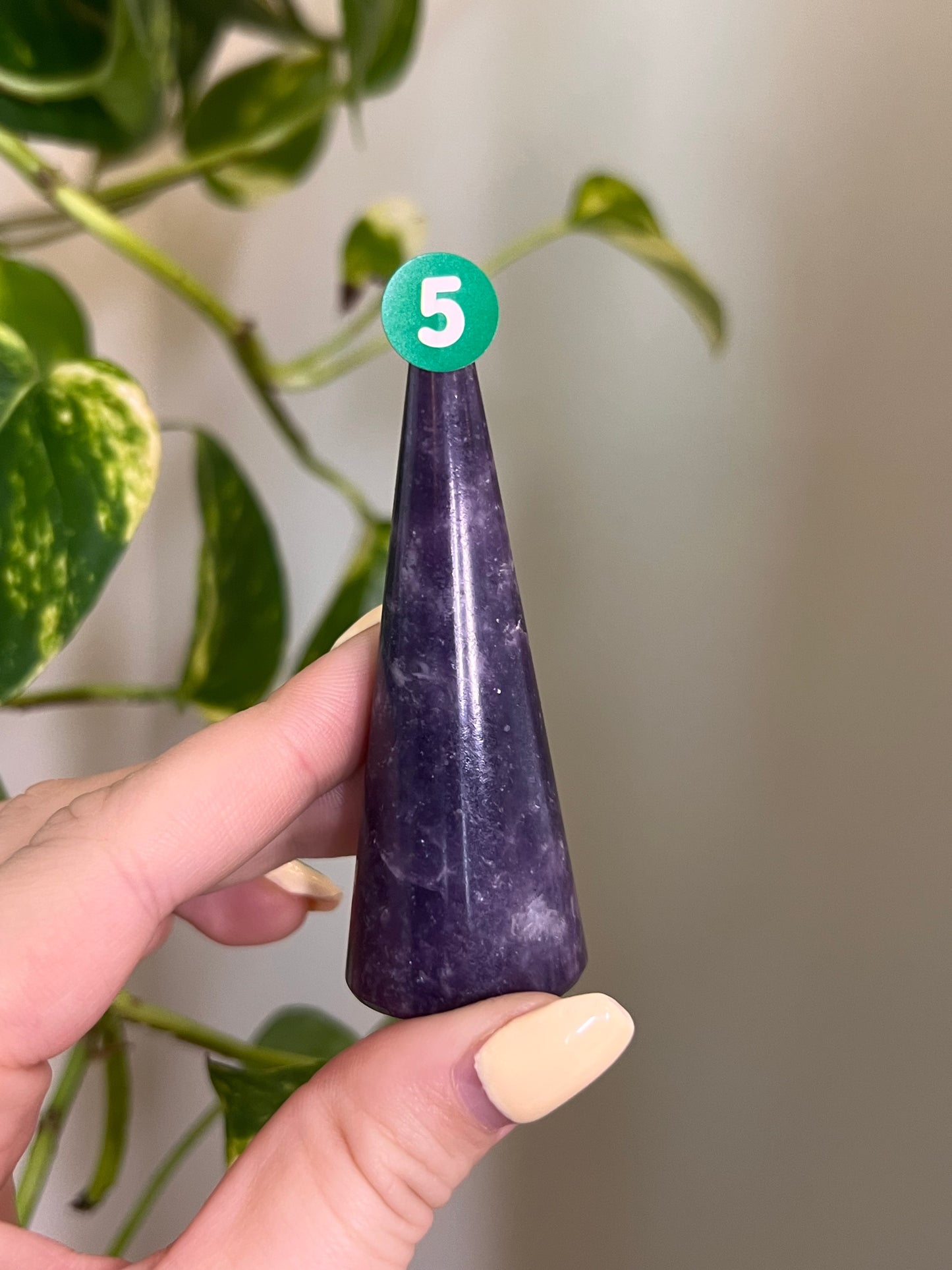 Lepidolite Ring Holder - 5