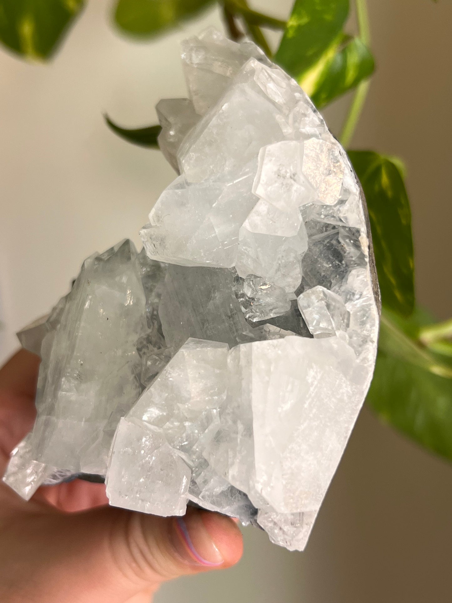 Apophyllite Cluster - H