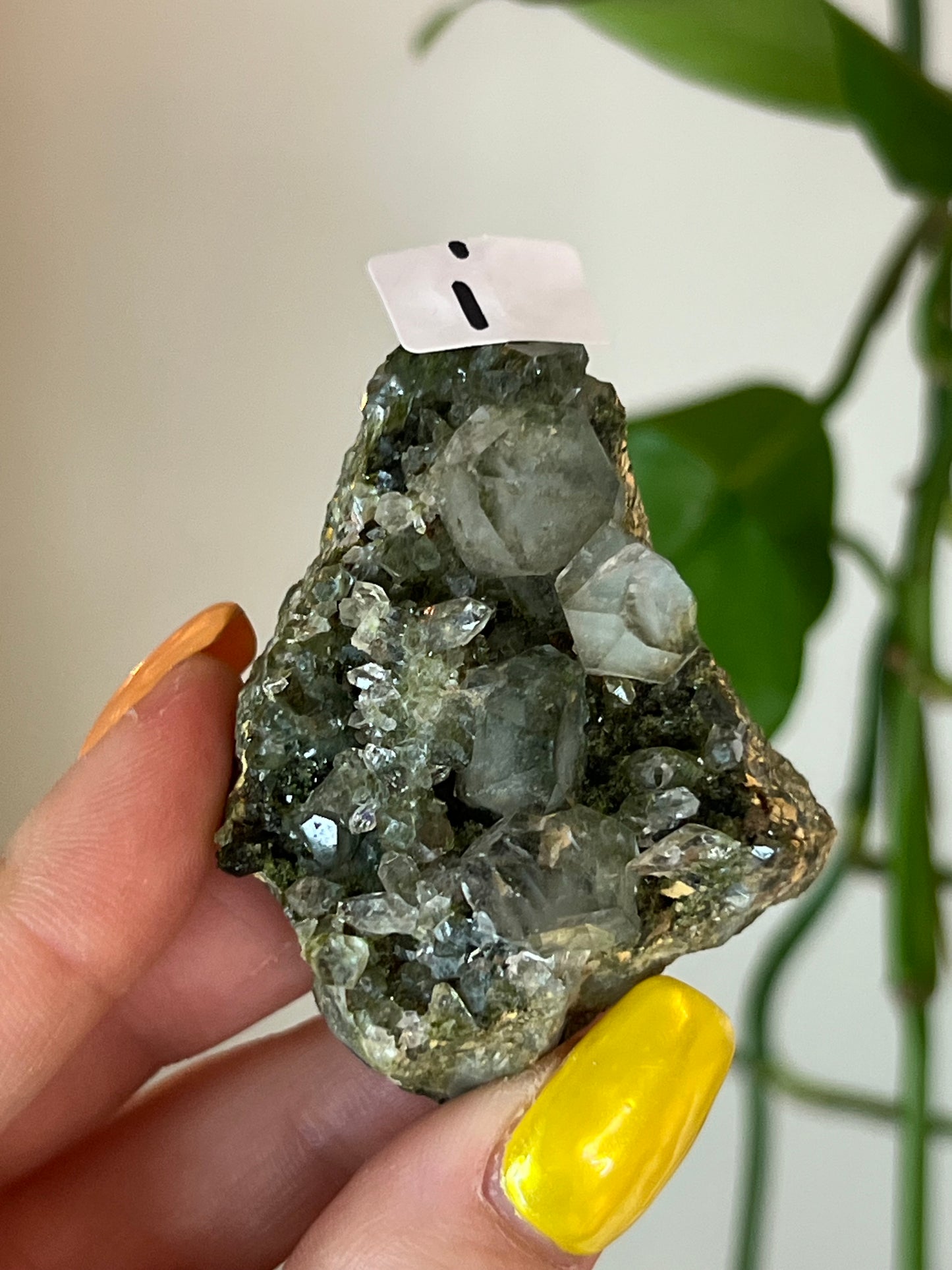 Forest Epidote Quartz Cluster - i