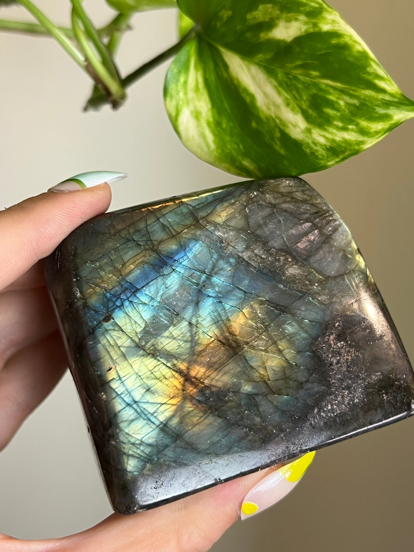 Flashy Labradorite Freeform - Q