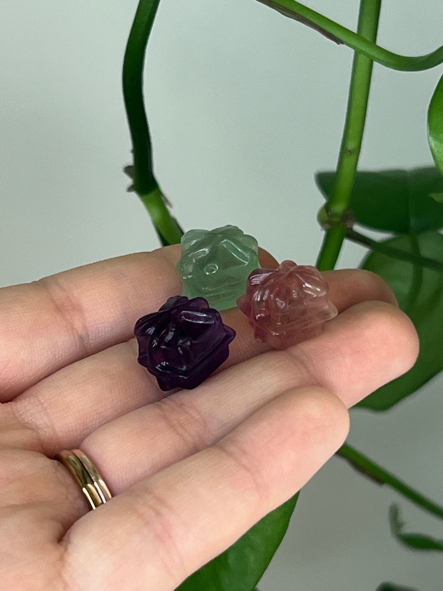 Mini Rainbow Fluorite - Gift Box