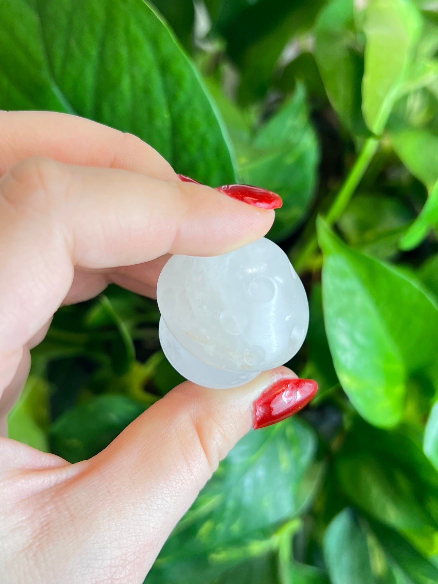Clear Quartz Mushroom Pal