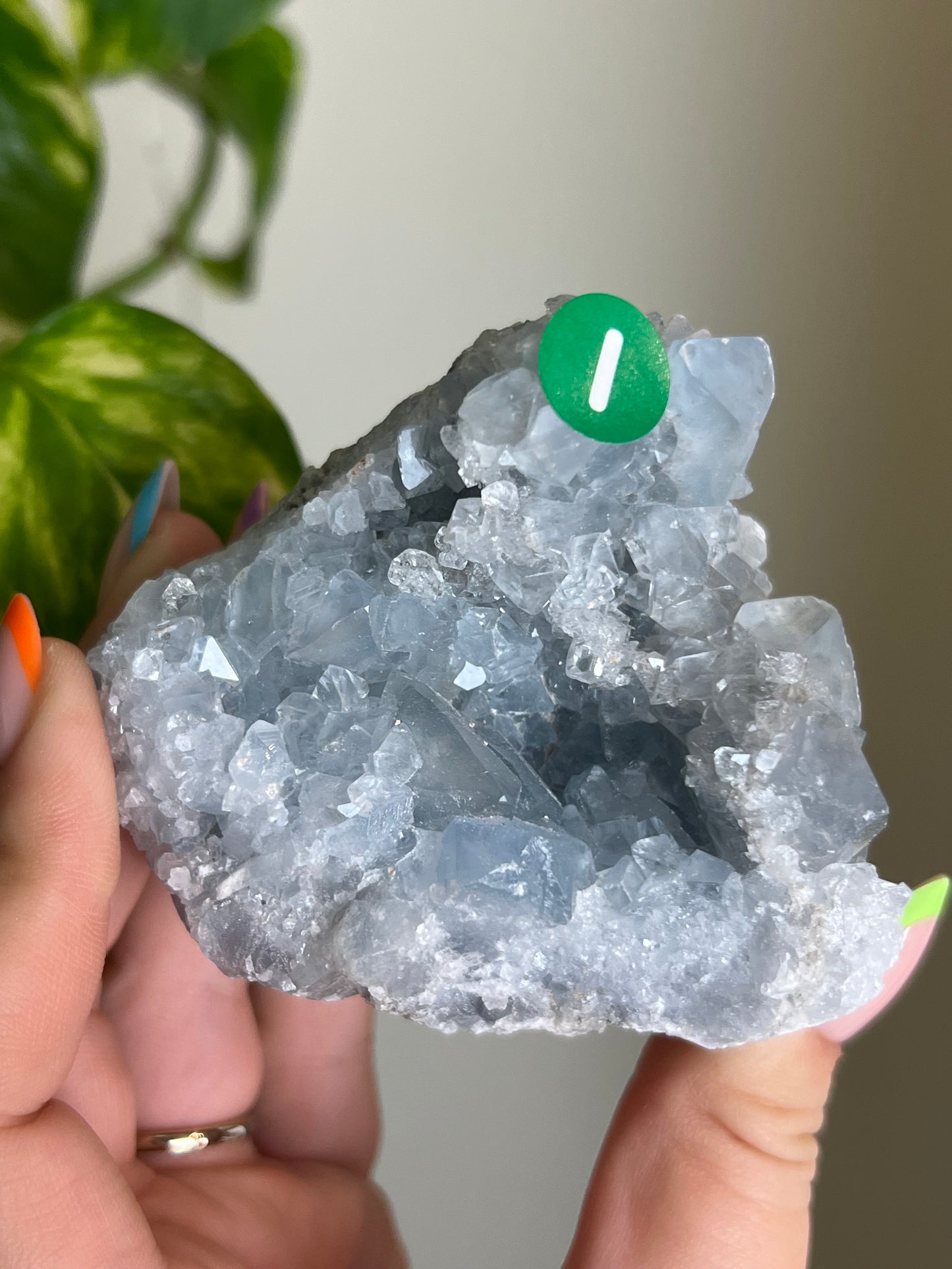 Celestite Cluster - I 🌊