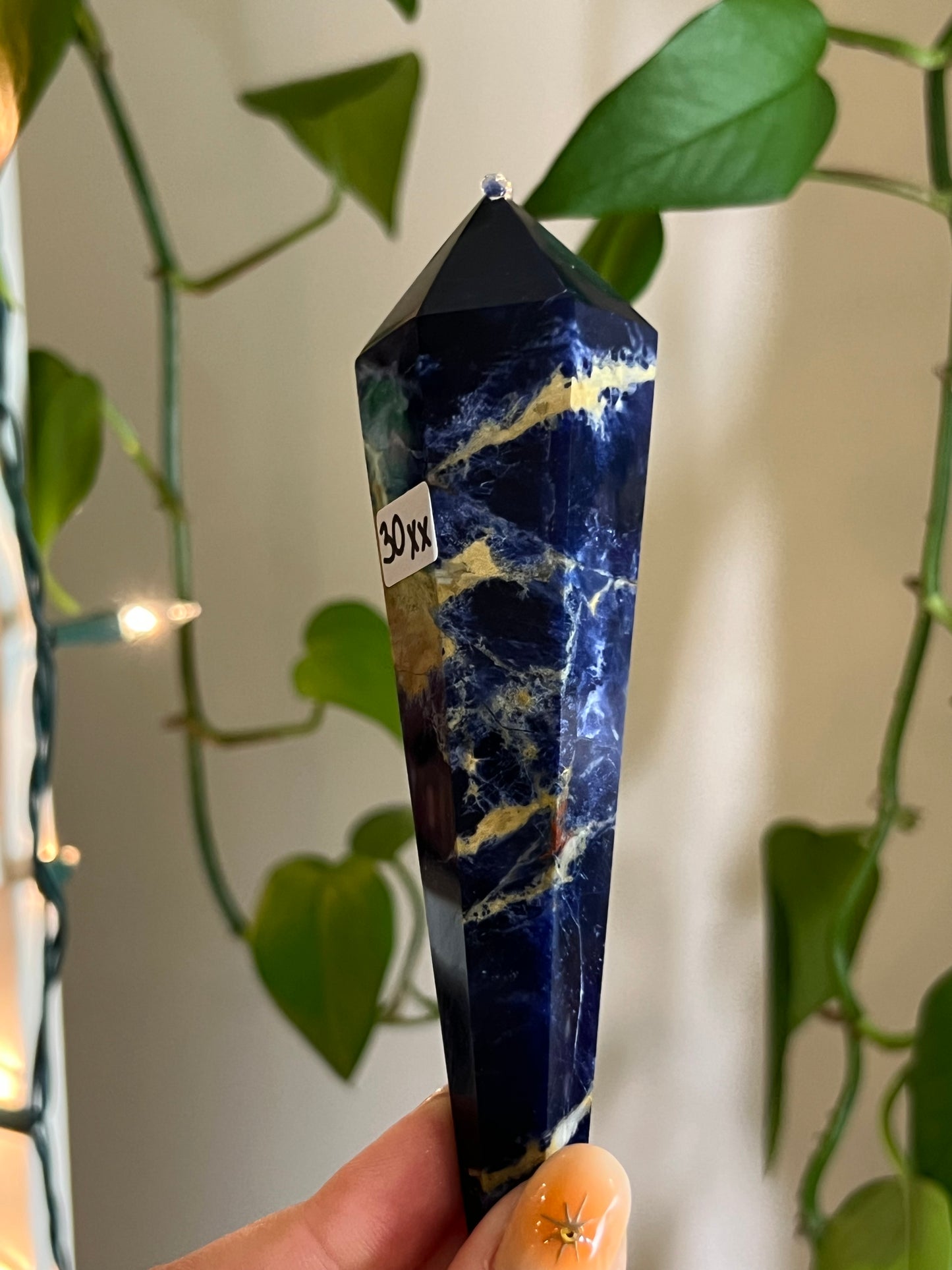 Sodalite Wand - XX