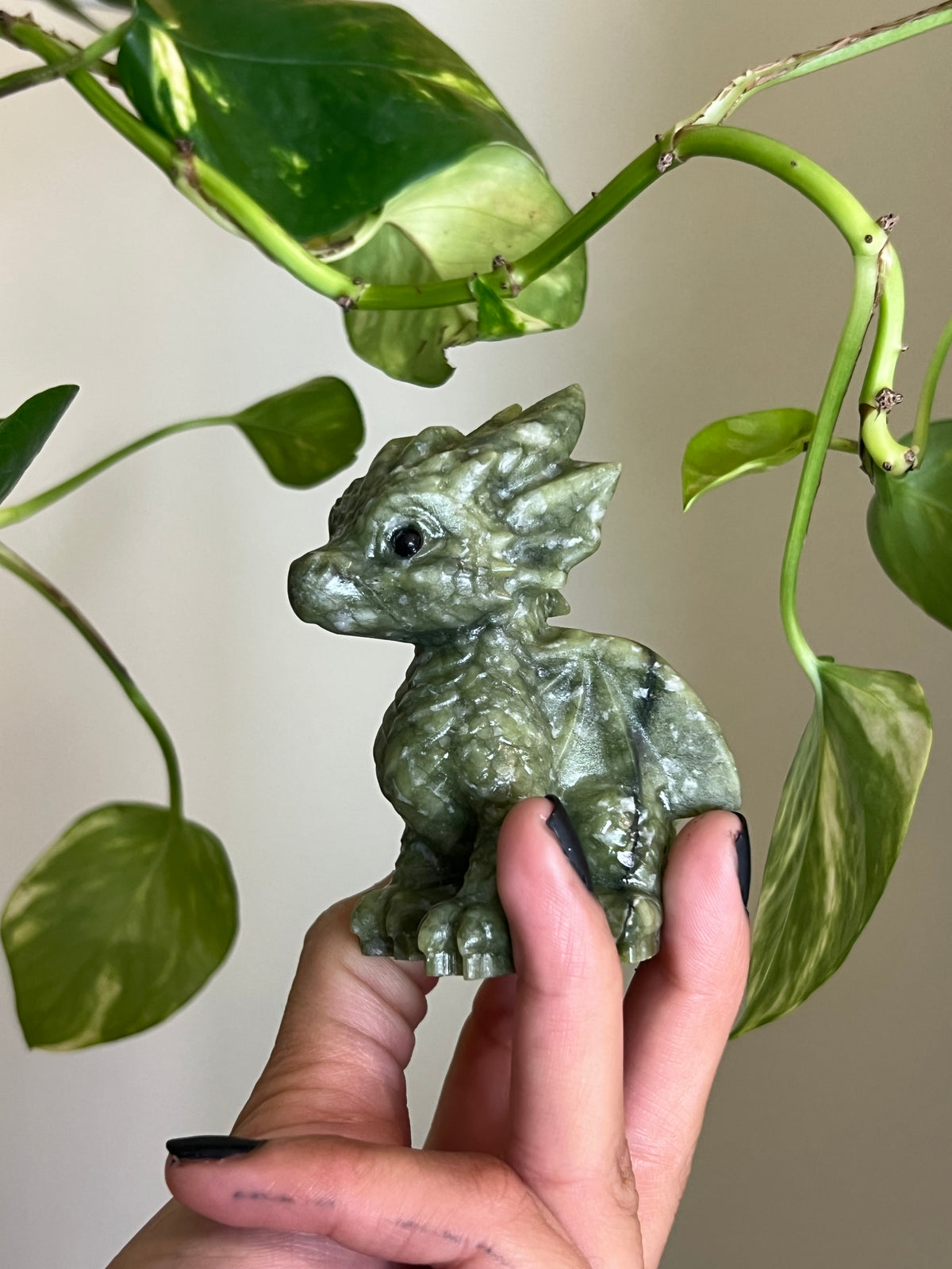 Jade Dragon