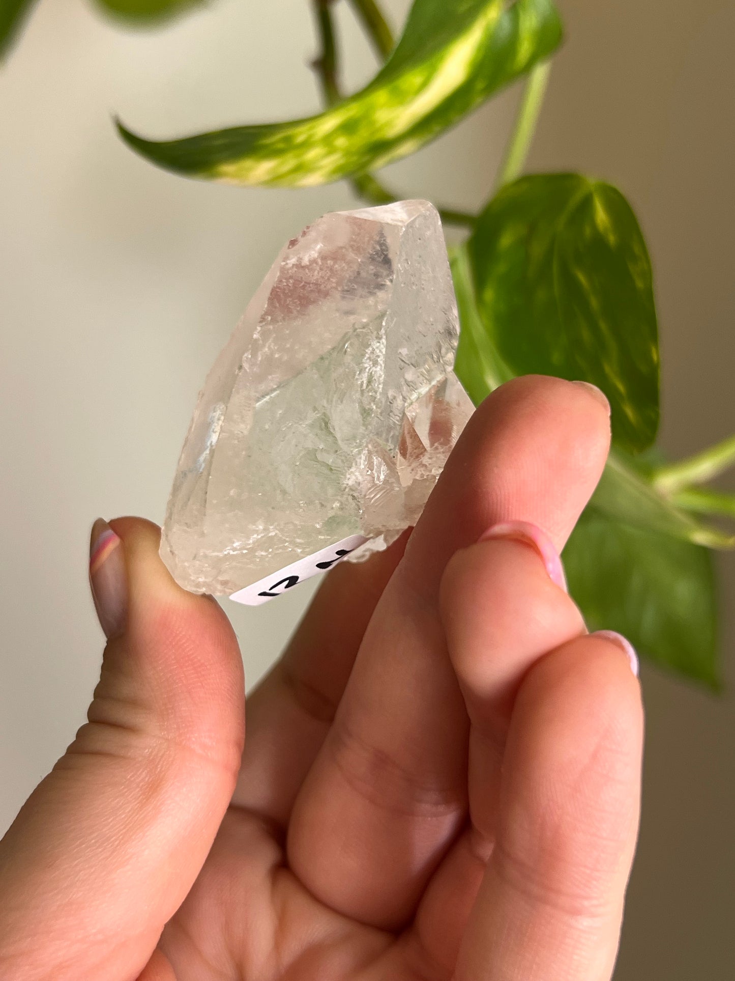 Clear Quartz Cluster - N
