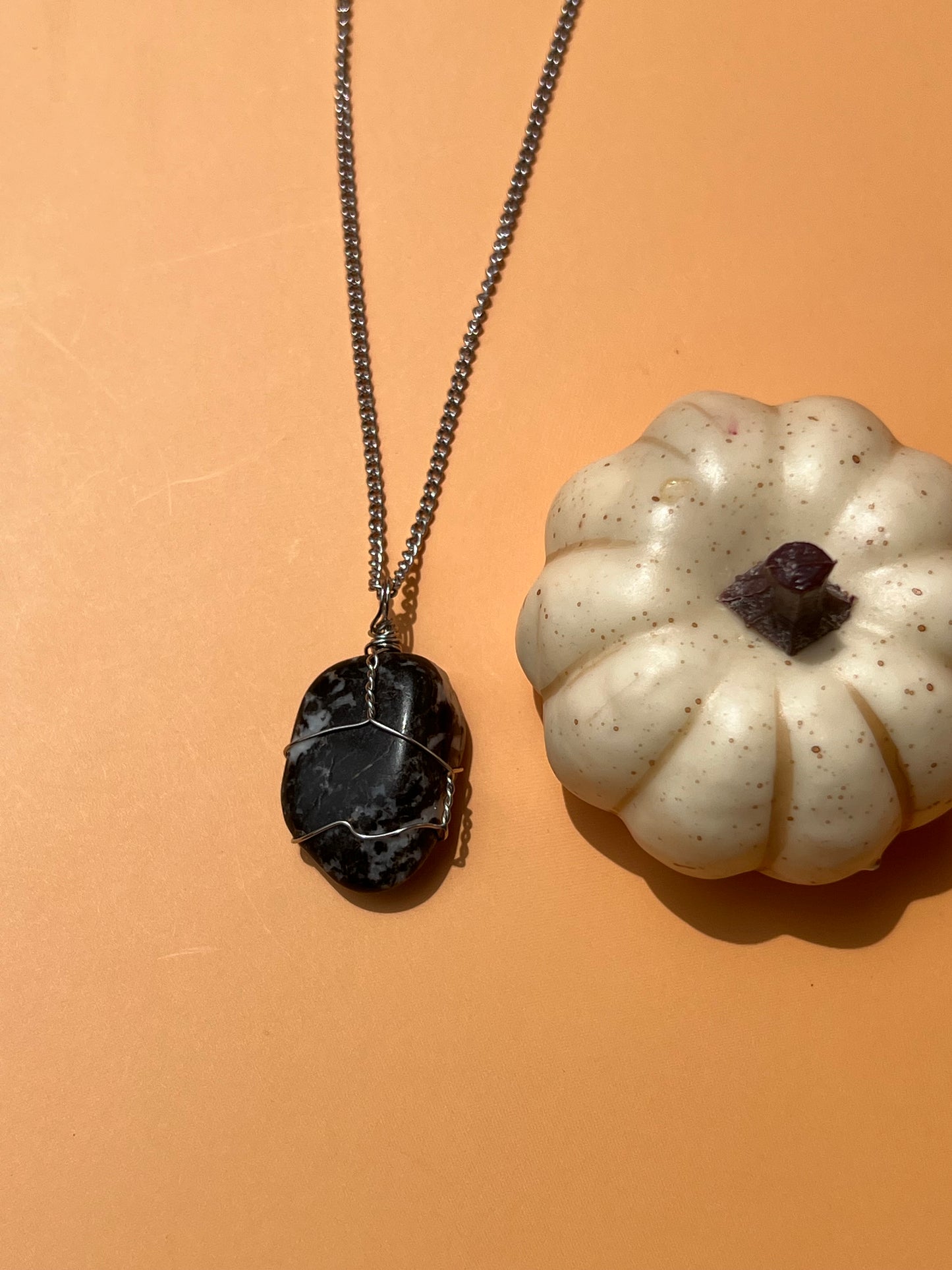 Zebra Jasper Wrapped Silver Necklace 🦓