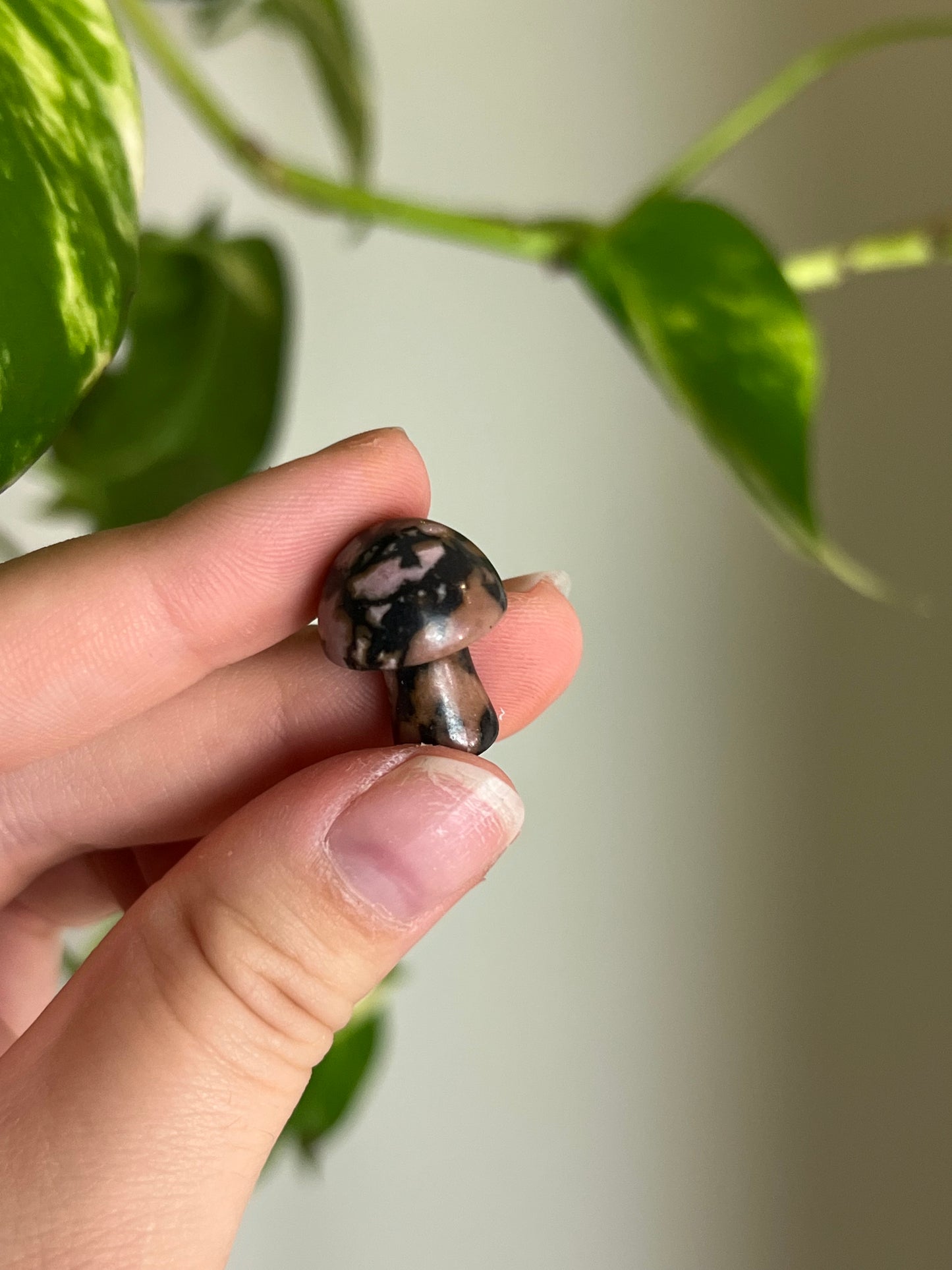 Webbed Rhodonite Mini Mushie