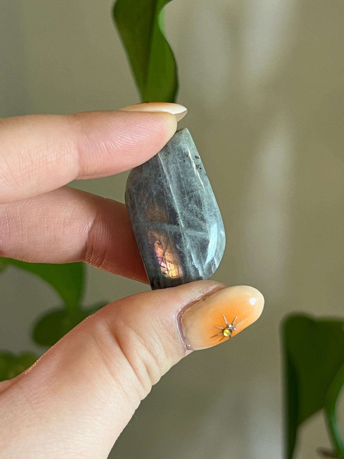 Labradorite Cabachon