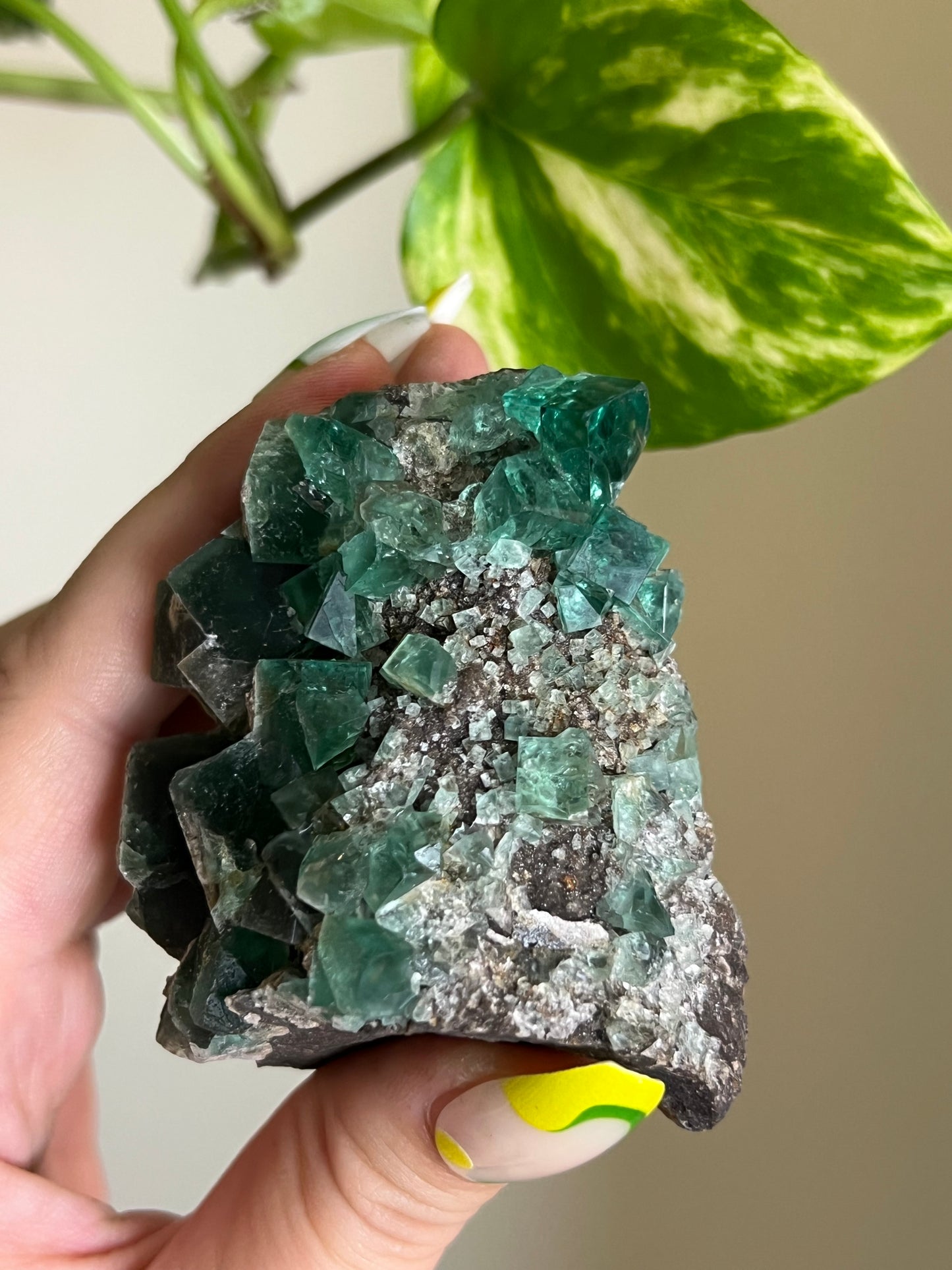 Green Cubic Fluorite Cluster - T