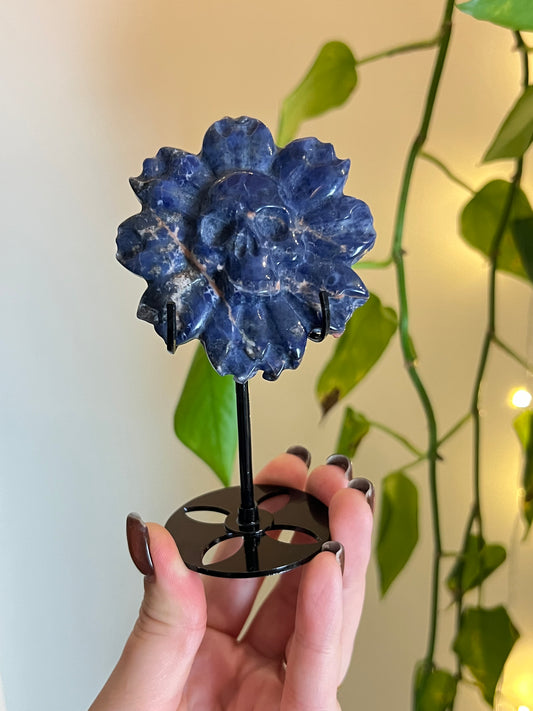 Sodalite Skull Flower on Stand