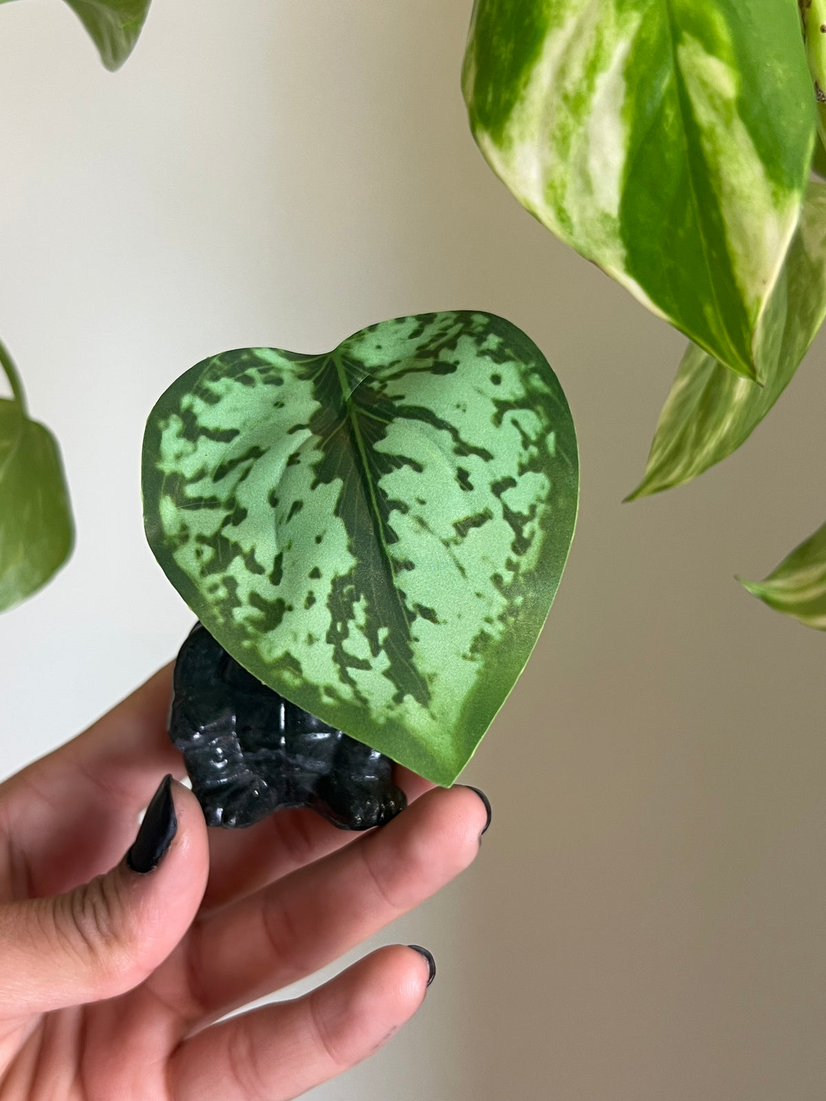 Jade Turtle with Leaf Umbrella
