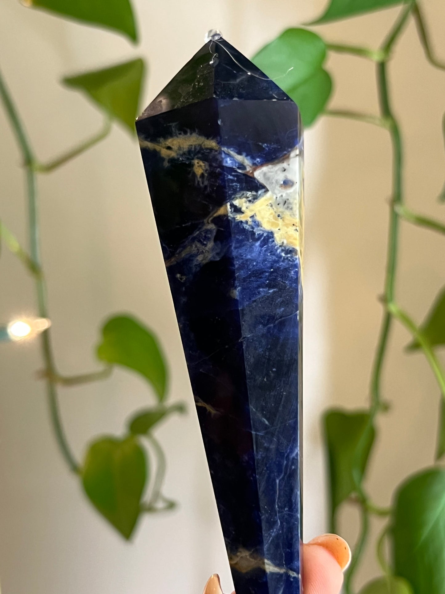 Sodalite Wand - XX
