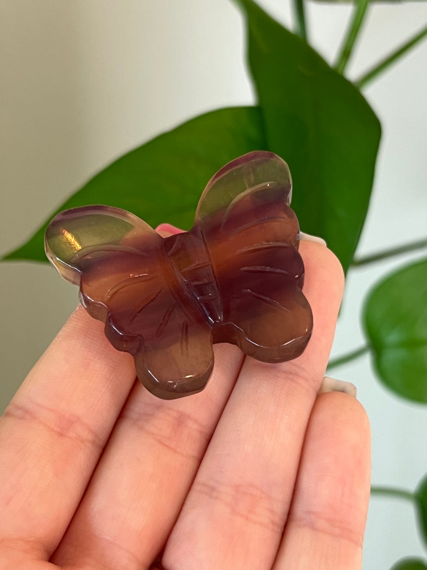 Rainbow Fluorite Butterfly