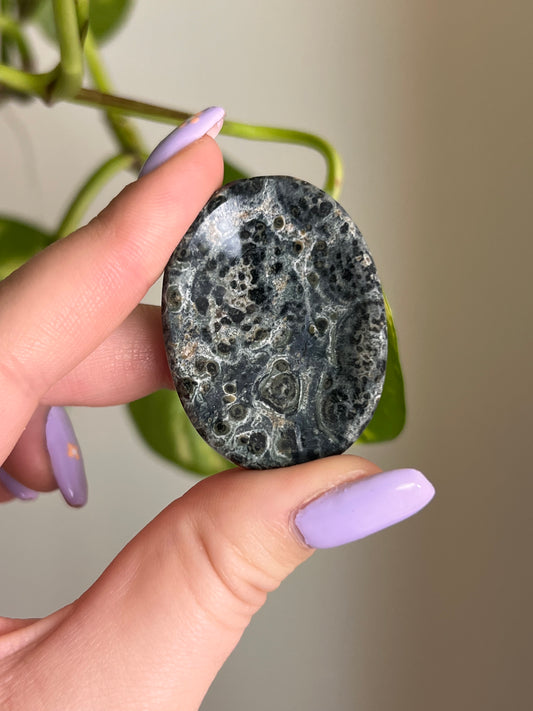 Kambaba Jasper Worry Stone