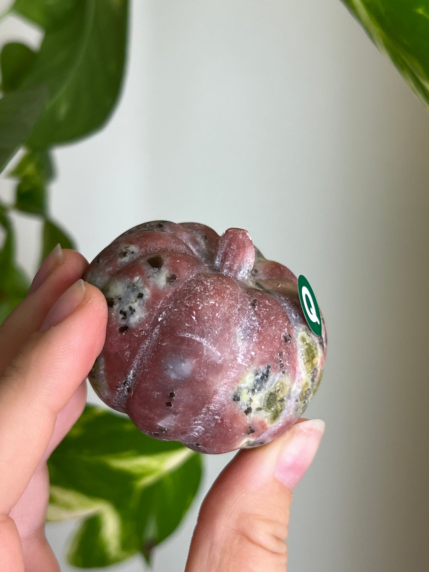 Plum Blossom Tourmaline x Serpentine Pumpkin - Q