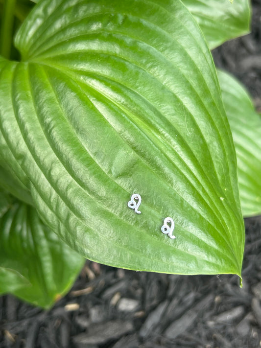 Leo Silver Zodiac Sign Studs ♌️