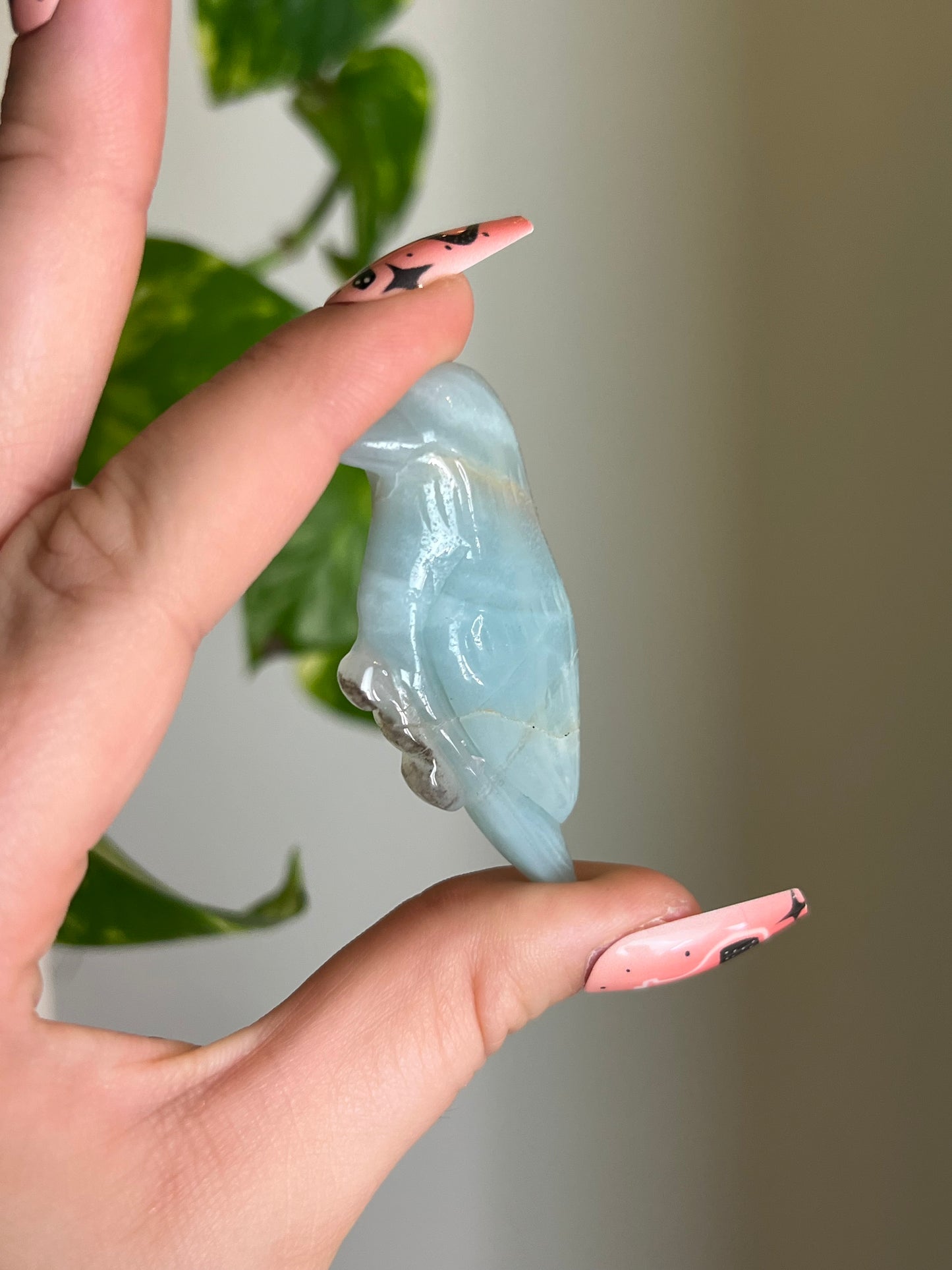 Amazonite Bird