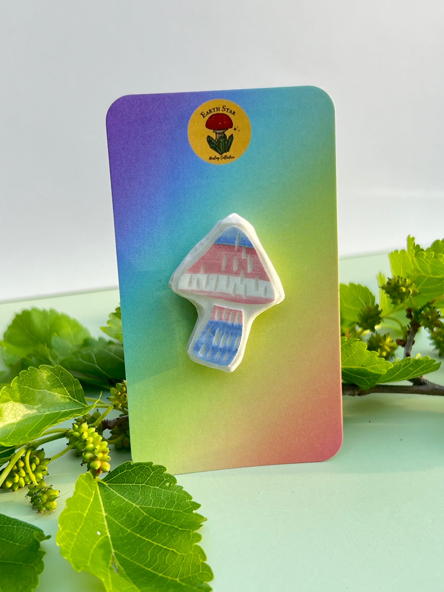 Mushroom Pride Flag Clay Pins 🍄🌈 9 Flags
