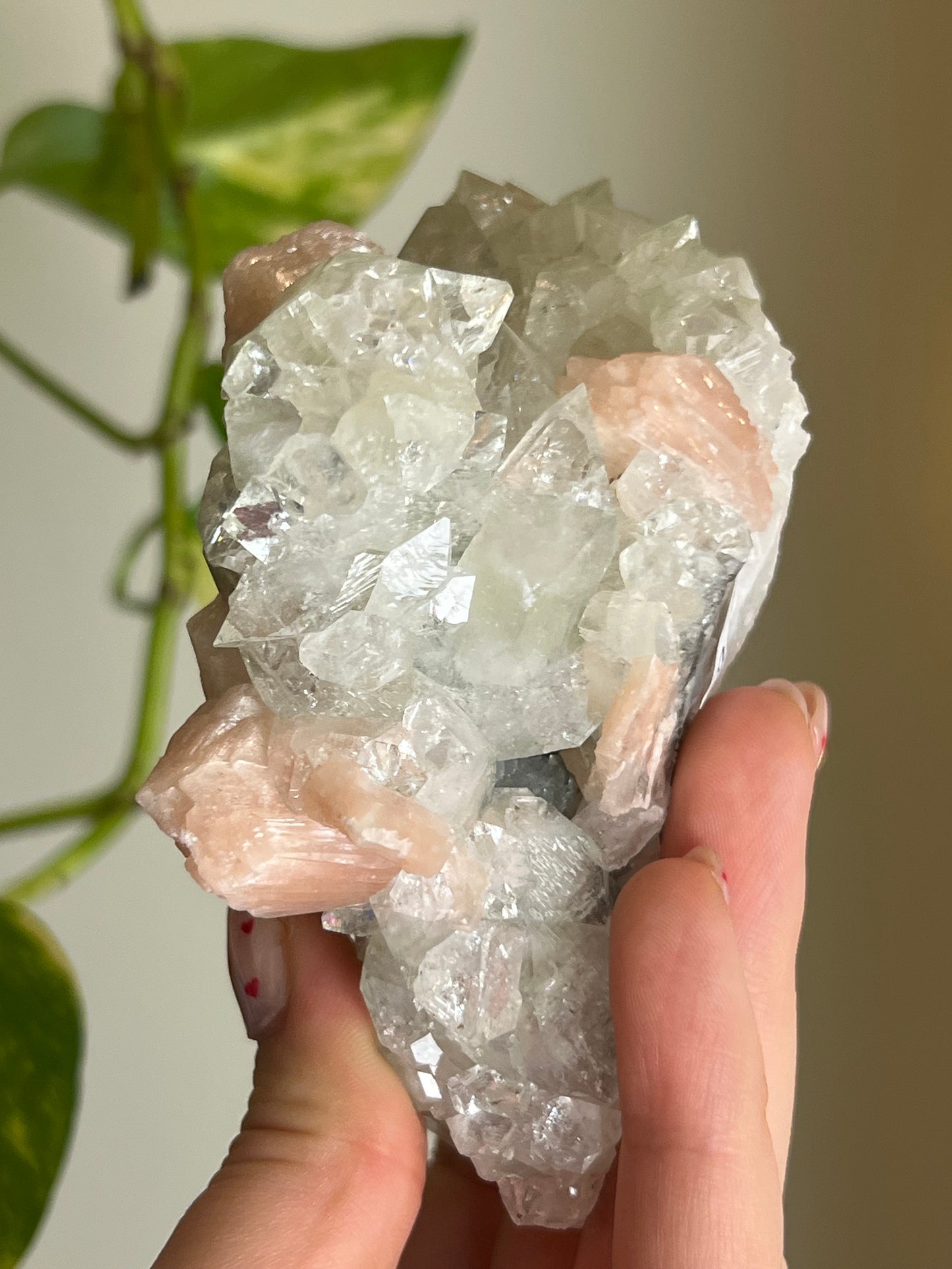 AAA Quality Apophyllite x Stilbite Cluster