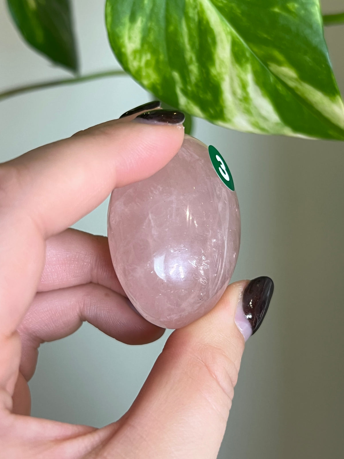 Rose Quartz Palm Stone - 2